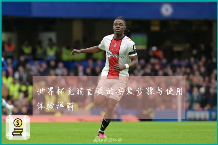 世界杯竞猜首页的安装步骤与使用体验详解