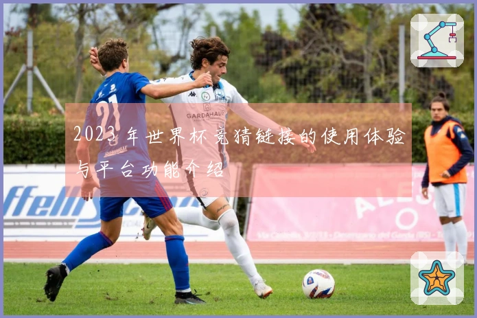 2023 年世界杯竞猜链接的使用体验与平台功能介绍