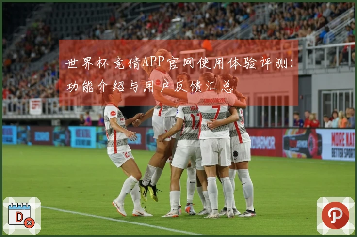 世界杯竞猜APP官网使用体验评测：功能介绍与用户反馈汇总