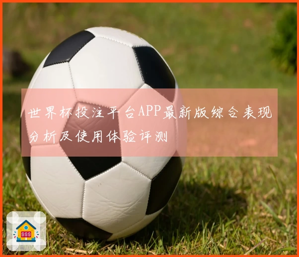 世界杯投注平台APP最新版综合表现分析及使用体验评测