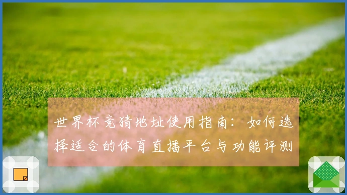 世界杯竞猜地址使用指南：如何选择适合的体育直播平台与功能评测