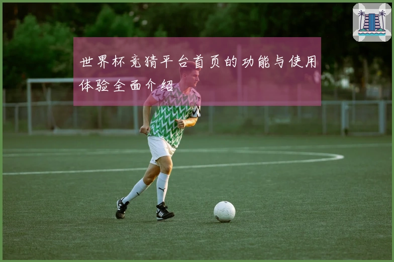 世界杯竞猜平台首页的功能与使用体验全面介绍