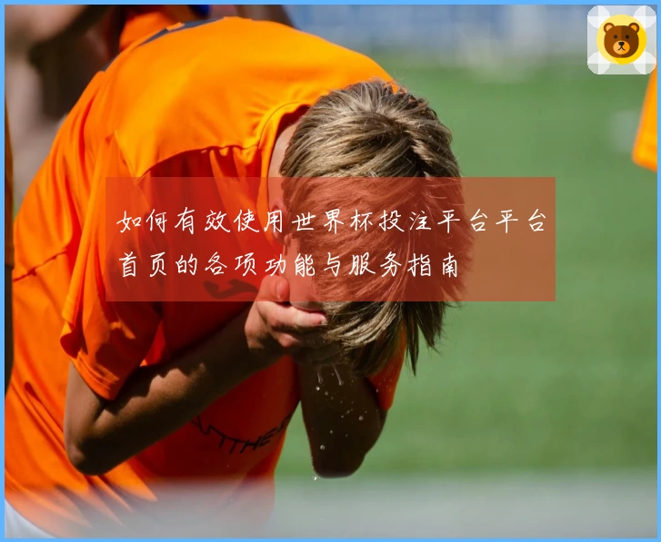 如何有效使用世界杯投注平台平台首页的各项功能与服务指南