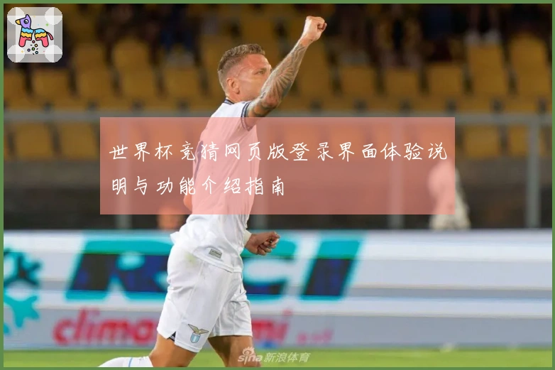 世界杯竞猜网页版登录界面体验说明与功能介绍指南