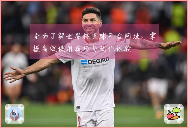 全面了解世界杯买球平台网址,掌握高效使用技巧与优化体验