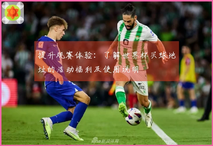 提升观赛体验：了解世界杯买球地址的活动福利及使用说明