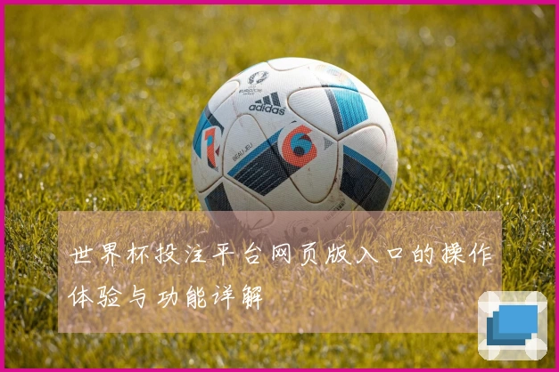 世界杯投注平台网页版入口的操作体验与功能详解
