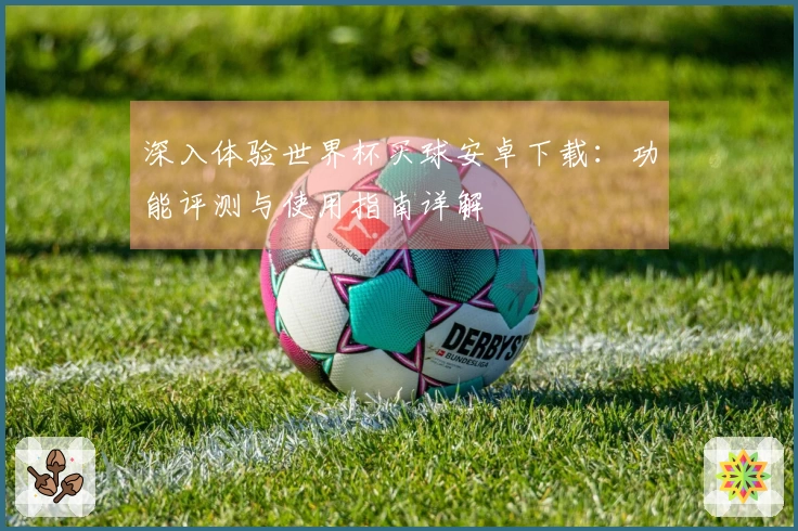 深入体验世界杯买球安卓下载：功能评测与使用指南详解