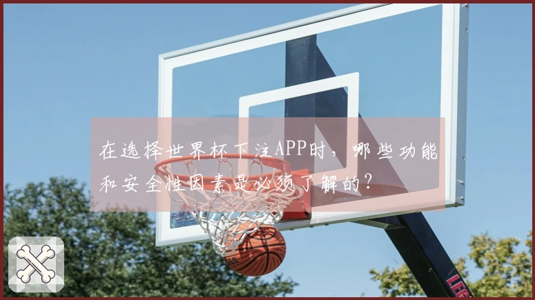 在选择世界杯下注APP时，哪些功能和安全性因素是必须了解的？