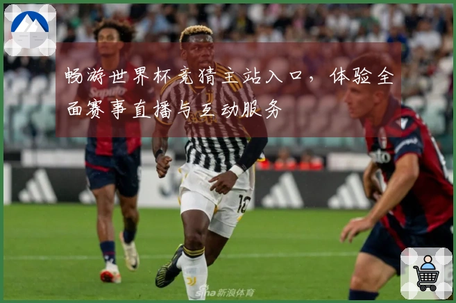 畅游世界杯竞猜主站入口，体验全面赛事直播与互动服务
