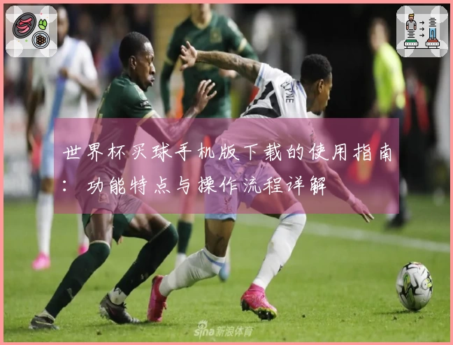 世界杯买球手机版下载的使用指南:功能特点与操作流程详解