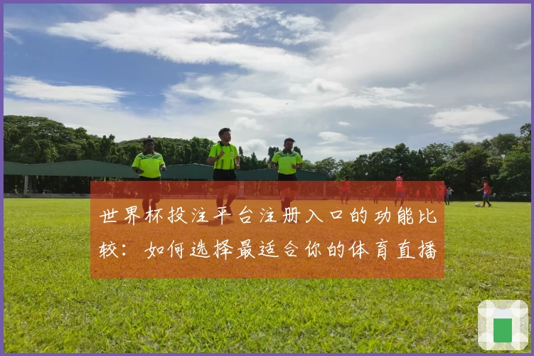 世界杯投注平台注册入口的功能比较：如何选择最适合你的体育直播平台