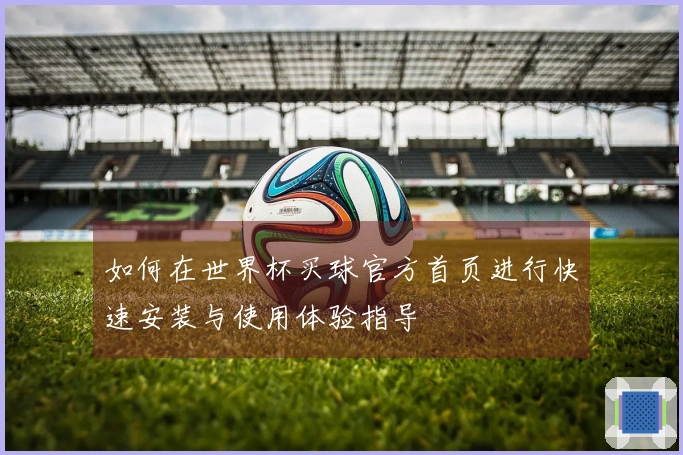 如何在世界杯买球官方首页进行快速安装与使用体验指导