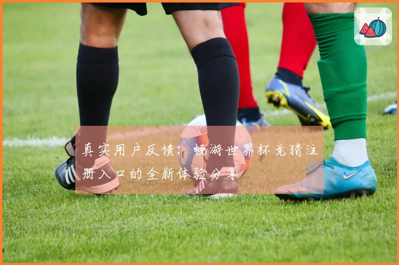 真实用户反馈：畅游世界杯竞猜注册入口的全新体验分享
