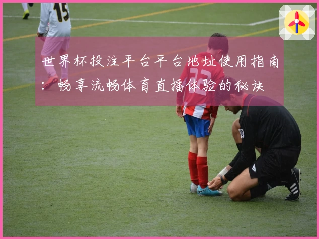 世界杯投注平台平台地址使用指南：畅享流畅体育直播体验的秘诀