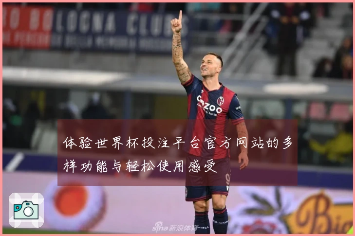 体验世界杯投注平台官方网站的多样功能与轻松使用感受