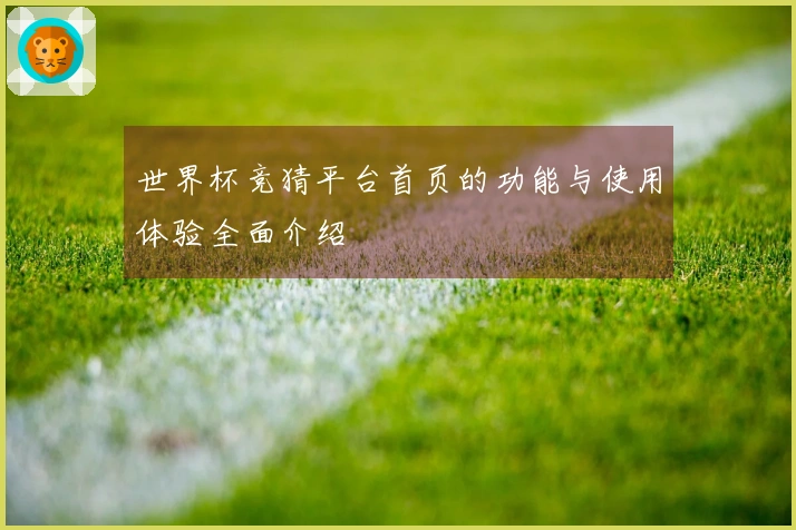 世界杯竞猜平台首页的功能与使用体验全面介绍