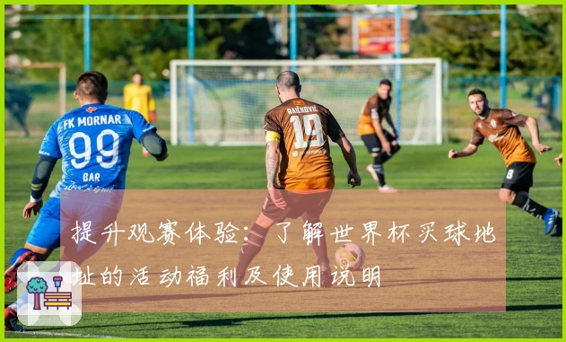 提升观赛体验：了解世界杯买球地址的活动福利及使用说明